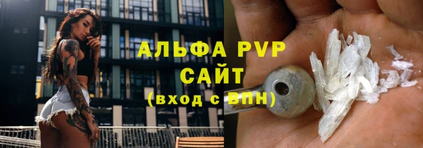 прущие грибы Липки