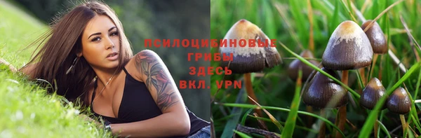 прущие грибы Липки