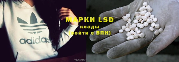прущие грибы Лихославль