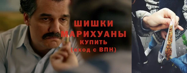прущие грибы Липки
