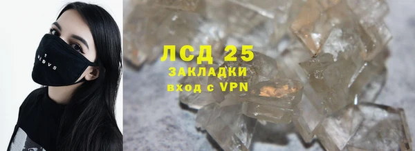 прущие грибы Лихославль
