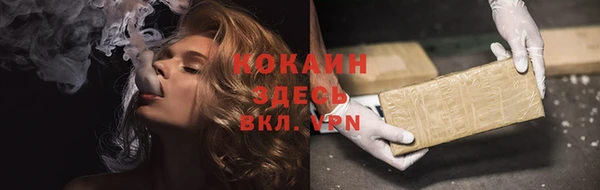 прущие грибы Лихославль