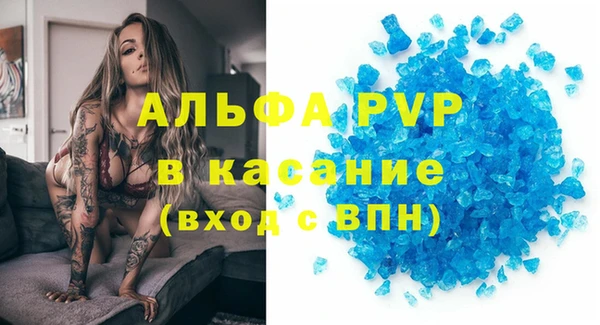 прущие грибы Липки