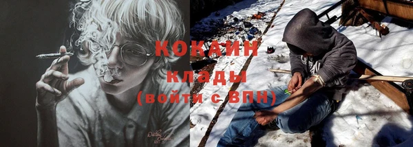 прущие грибы Лихославль